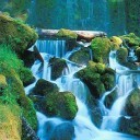 HareshBhajwa's profile picture. 