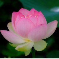 Takashi_Sackee (@takashi_sackee) 's Twitter Profile