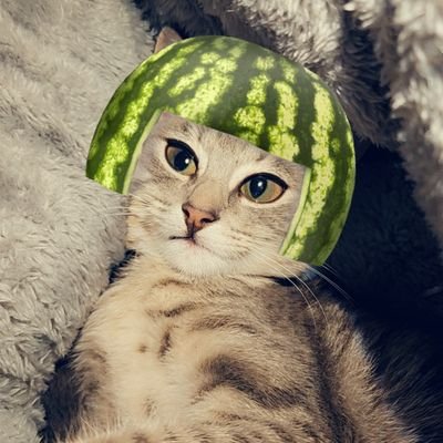 TheShadow_Virus's profile picture. melon hat