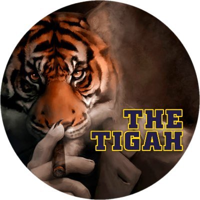 TheTigah Profile Picture