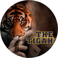 TheTigah(@TheTigah) 's Twitter Profile Photo