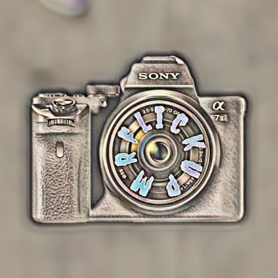 mrflickup's profile picture. Photographer and Videographer Deland High '20 Cross country and track runner Daytona state athlete