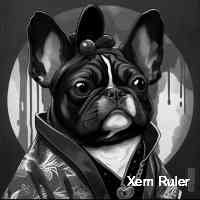 xemrler's profile picture. I follow the market to make money. crypto tech-analist.