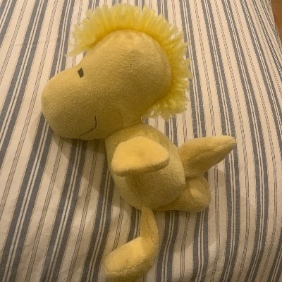 tloblo's profile picture. 