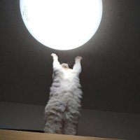 WoosWes (@woosr6) 's Twitter Profile Photo WoosWes (@woosr6) 's Twitter Profile Photo