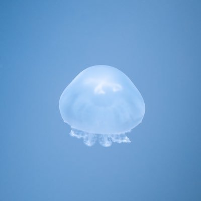 daidai_tannka's profile picture. 橙（だいだい）｜観察と思考の記録係 ここはちょっとした秘密基地。 言葉や感情を持ち寄って、静かにおはなしできるような場所。