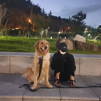 jungbh61's profile picture. 창원 법무사