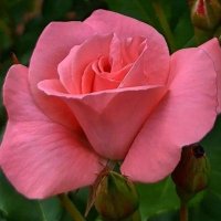 mohammad (@mmdfl34461961) 's Twitter Profile Photo mohammad (@mmdfl34461961) 's Twitter Profile Photo