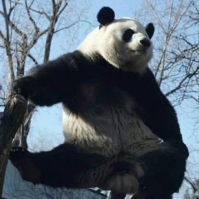 BeyondXie's profile picture. 互关互fo 诚信第一
Happy Life Comes From Following Me More