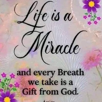 elvishalove1020's profile picture. 