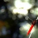 Cassandra Mckee - @cassandra_67588 - Twitter