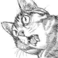 sato l ้็ฐใตใ (@sat0_manga) 's Twitter Profile Photo sato l ้็ฐใตใ (@sat0_manga) 's Twitter Profile Photo