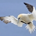 Willem Grossouw (@wgrossouw) Twitter profile photo Willem Grossouw (@wgrossouw) Twitter profile photo