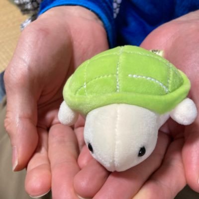 田舎暮らし 始めたちいさなカメ🐢山と空と花とココロに吹く風が好き🩵 日常のキリトリ 💚DMは❌で