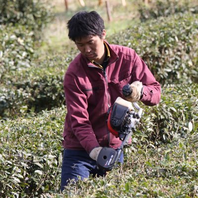 四国の山奥。愛媛県松野町から高知県西土佐の間にかけて活動しています。不器男記念館プロデューサー/俳句同人誌「里」同人/大阪俳句史研究会会員/note「樹色」