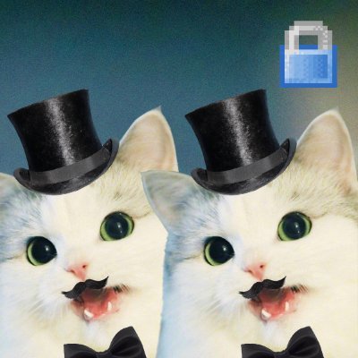 famishedfelines Profile Picture