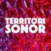 Territori Sonor (@territoriAPunt) Twitter profile photo