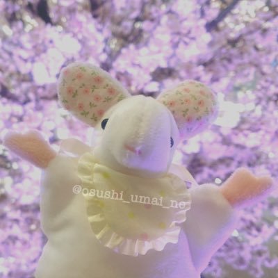 osushi_umai_ne's profile picture. おにんぎょうずきのおとな 【故郷】おねず/うさナースクローン▶︎ @oningyomura