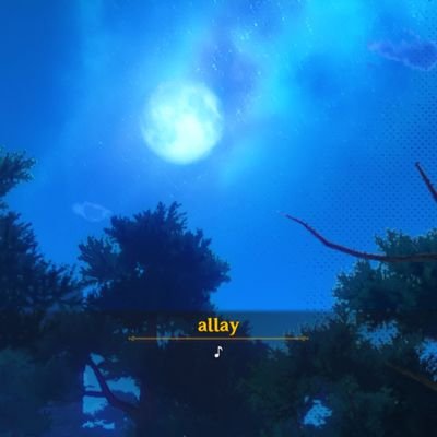 allay_137 Profile Picture