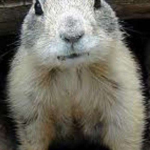 Ts_Big's profile picture. 