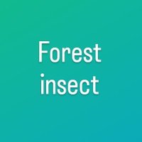 Forest insect(@4xnq0wg4VYsPhXC) 's Twitter Profile Photo