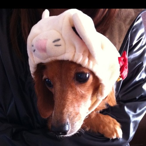 tazawa2's profile picture. ヨロシクデス☻