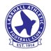 Larkhall Athletic FC (@LarkhallAFC) Twitter profile photo