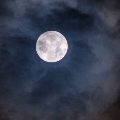ravianandweb's profile picture. CSE'25 | Full Stack Developer