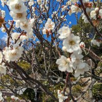 ケンタ (@xw_uy2) 's Twitter Profile