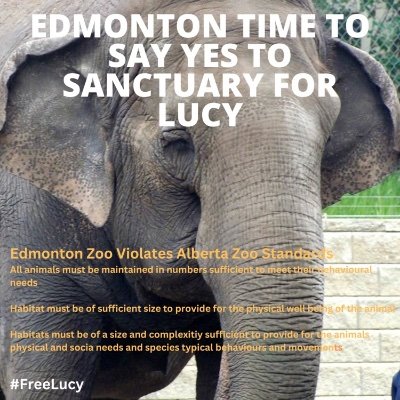 ❤️Climate news🌎
animal welfare🐎🐳 environment 
🐘 kindness matters ❤️‍
@AnimalsRadio 
https://t.co/c7soAxKzdO 🐳 sanctuary🇨🇦 
 #vegan #adoptdontshop  🐕