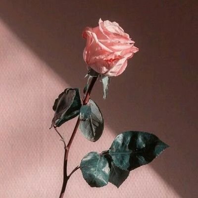 رَبّـي آرحَمني , , عندمَـآ يُصَلّونَ عَليَّ صَـلَآة لَآ رُكــوعَ فٍيهـــا ! ولا سجود فيها
Doctor 💉💊
