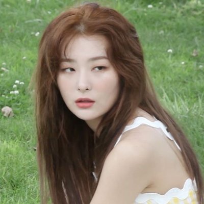 digievolucioné en la seulgi real.