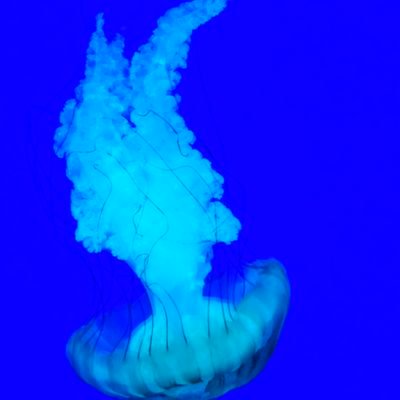 tommy2tans's profile picture. 