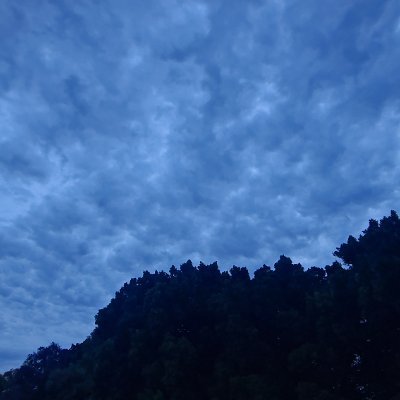 1D_NoName_'s profile picture. 