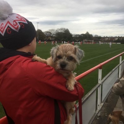 Richard242's profile picture. Bloaters, Canaries & anything that’s good. Much less famous other half of NLD. These days it’s mainly obscure Lancs & Cumbrian footballing outposts on Insta.