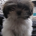 Pete Clarke - @peteclarke1971 - Twitter