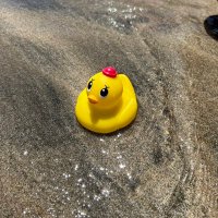 たぁこ (@takako0609ms) 's Twitter Profile