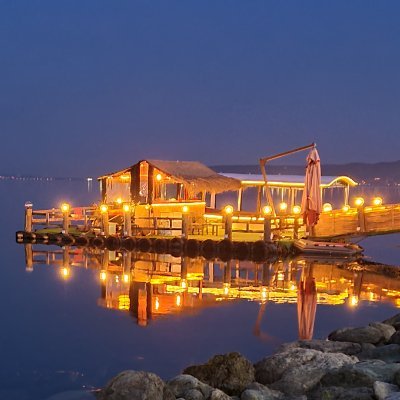 mrsmirai1's profile picture. 