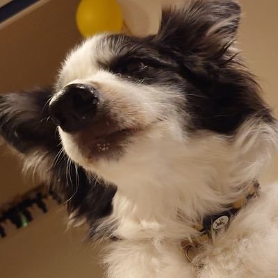 にうむさんのプロフィール画像