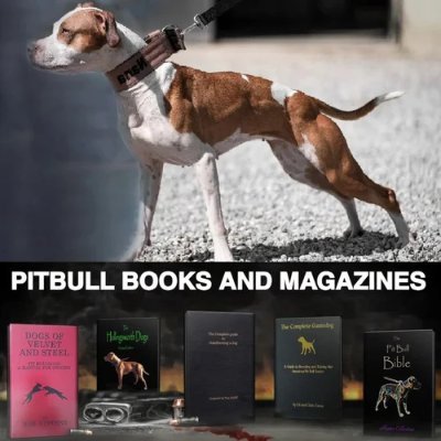 🏆ALL ABOUT AMERICAN PITBULL HISTORY AND STAFFBULLTERRIER PITDOG KENNEL