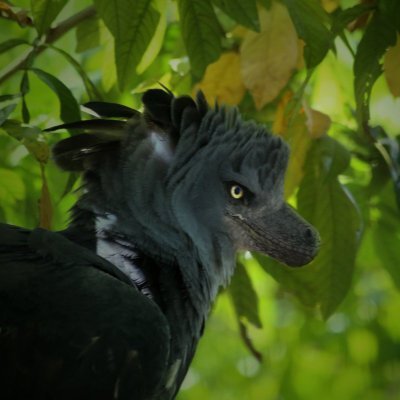 Doomstone7000's profile picture. 