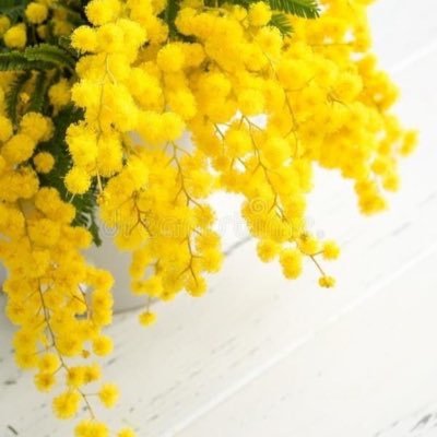 chiachi99713422's profile picture. La mia anima! non sono una taglia, sono “ io”