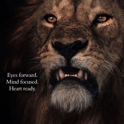 Joshtweak_snr's profile picture. Passionate Trader | Market Maverick | Sharing Market Insights| Mastering my Strategy 📊|