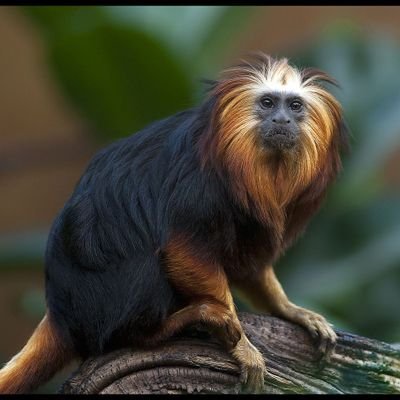 Spurgetti125183's profile picture. 