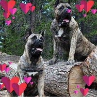 Nuran özlek (@nuranozlek50680) 's Twitter Profile Photo Nuran özlek (@nuranozlek50680) 's Twitter Profile Photo