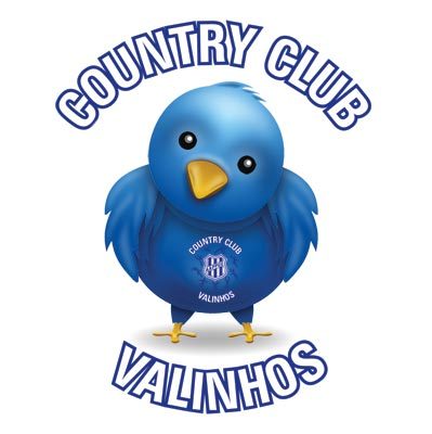 CountryValinhos's profile picture. Fundado em 01/12/1961, Cinquentão com muito orgulho ! Sou o maior clube socioesportivo de Valinhos/SP e um dos melhores da região metropolitana da Campinas/SP.