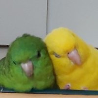 Tapsi (@tapsi62) 's Twitter Profile Photo Tapsi (@tapsi62) 's Twitter Profile Photo