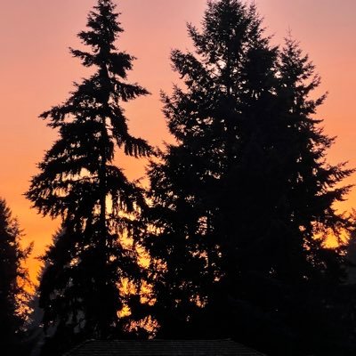 blondie29368046's profile picture. 