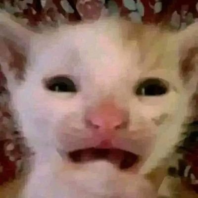 764bit59518's profile picture. 