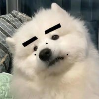 ʏᴏᴜʀ ᴘ (@maenongjung) 's Twitter Profile Photo ʏᴏᴜʀ ᴘ (@maenongjung) 's Twitter Profile Photo
